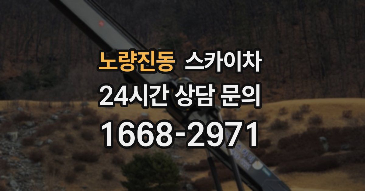 노량진동 스카이차