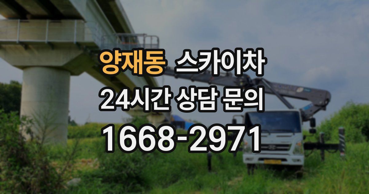 양재동 스카이차