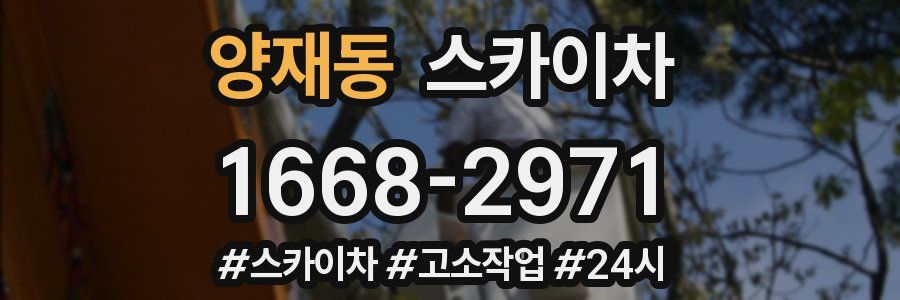 양재동 스카이차