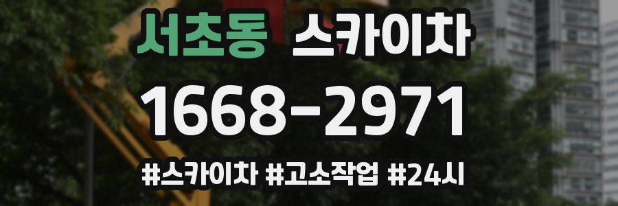 서초동 스카이차