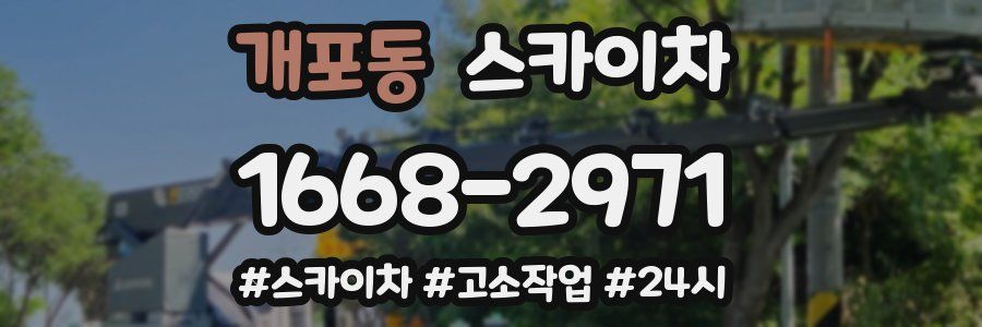 개포동 스카이차