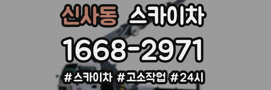 신사동 스카이차