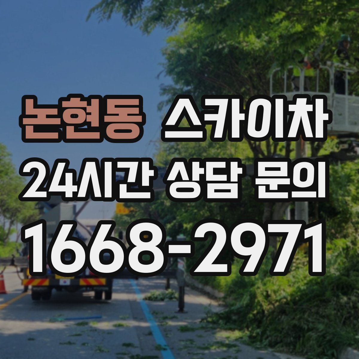 논현동 스카이차