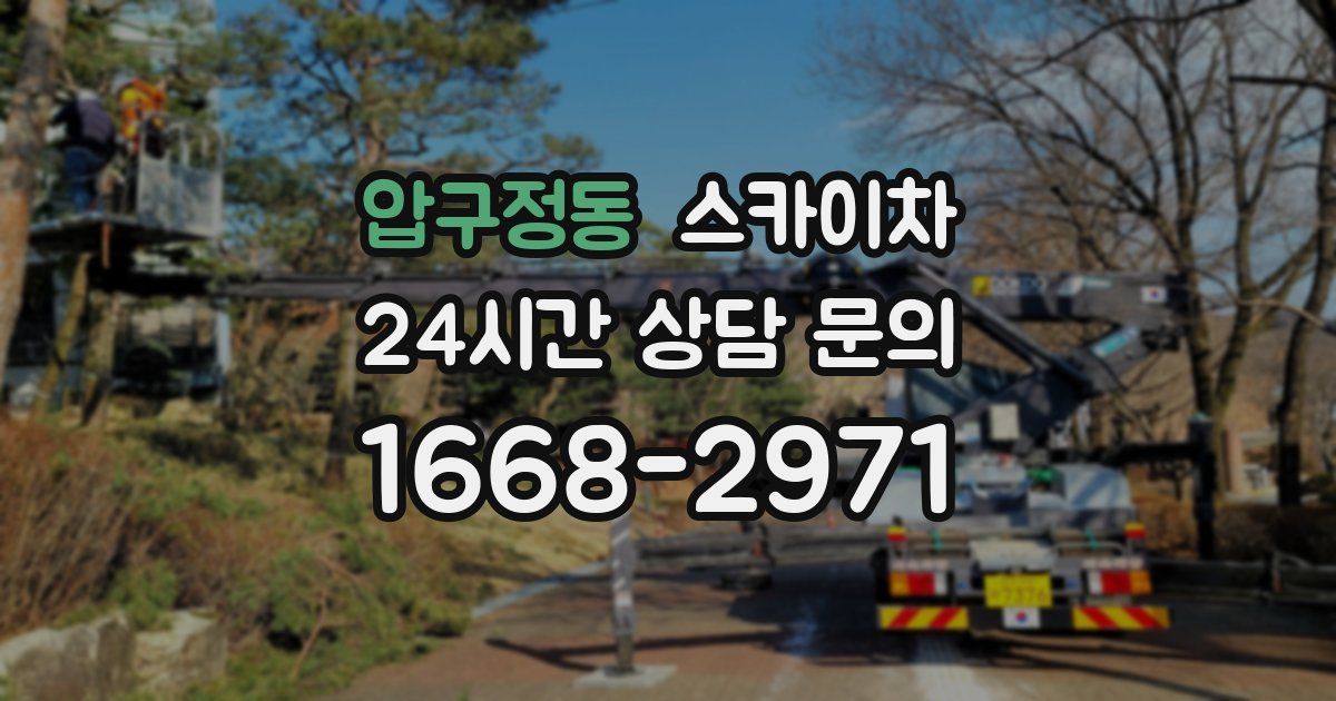 압구정동 스카이차