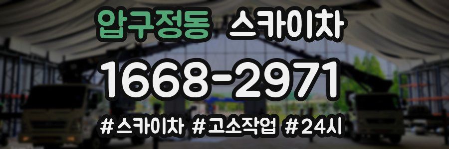 압구정동 스카이차