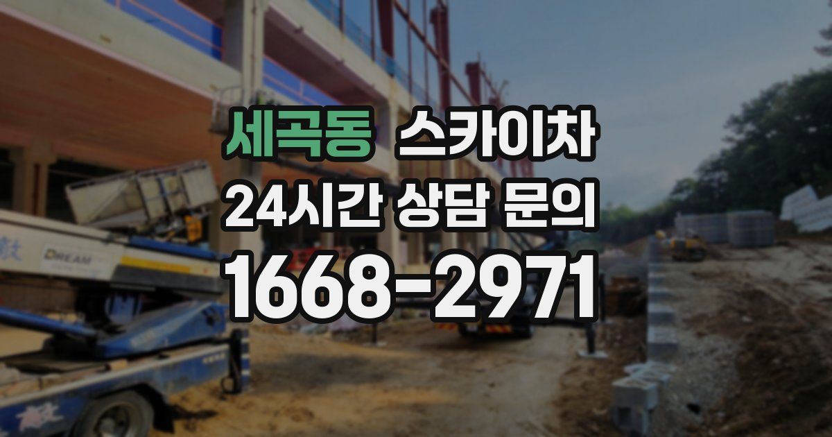 세곡동 스카이차