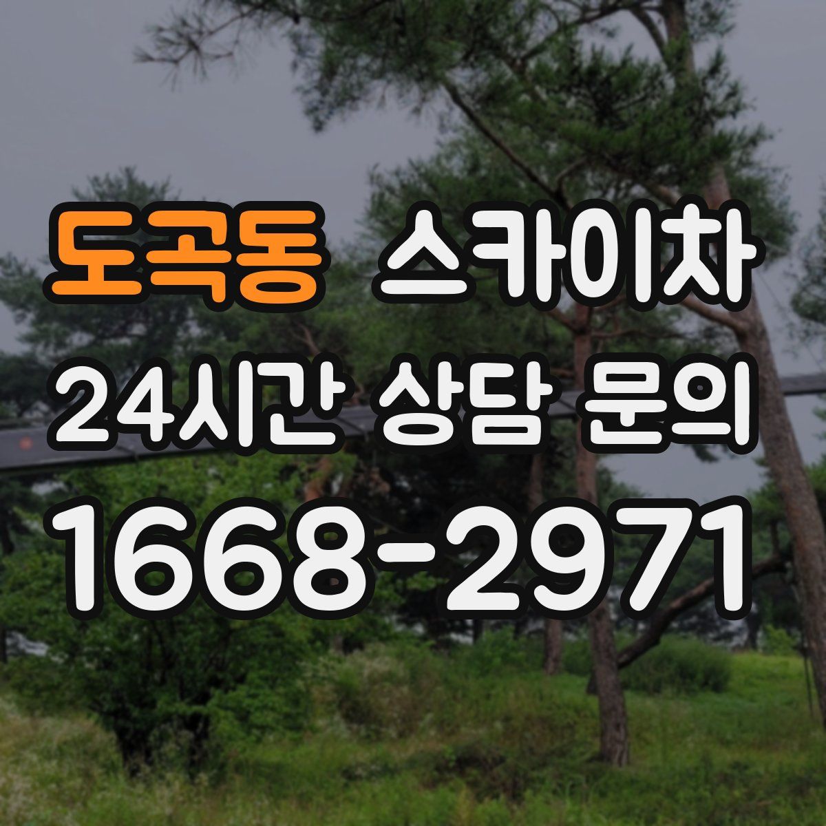 도곡동 스카이차