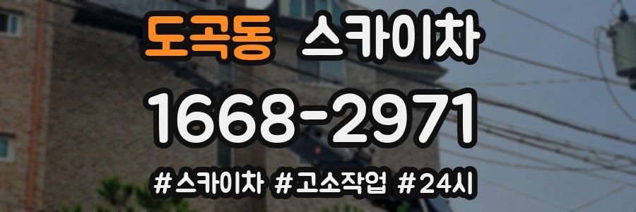 도곡동 스카이차