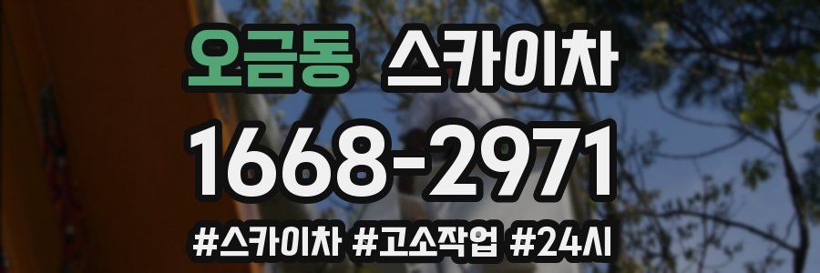 오금동 스카이차