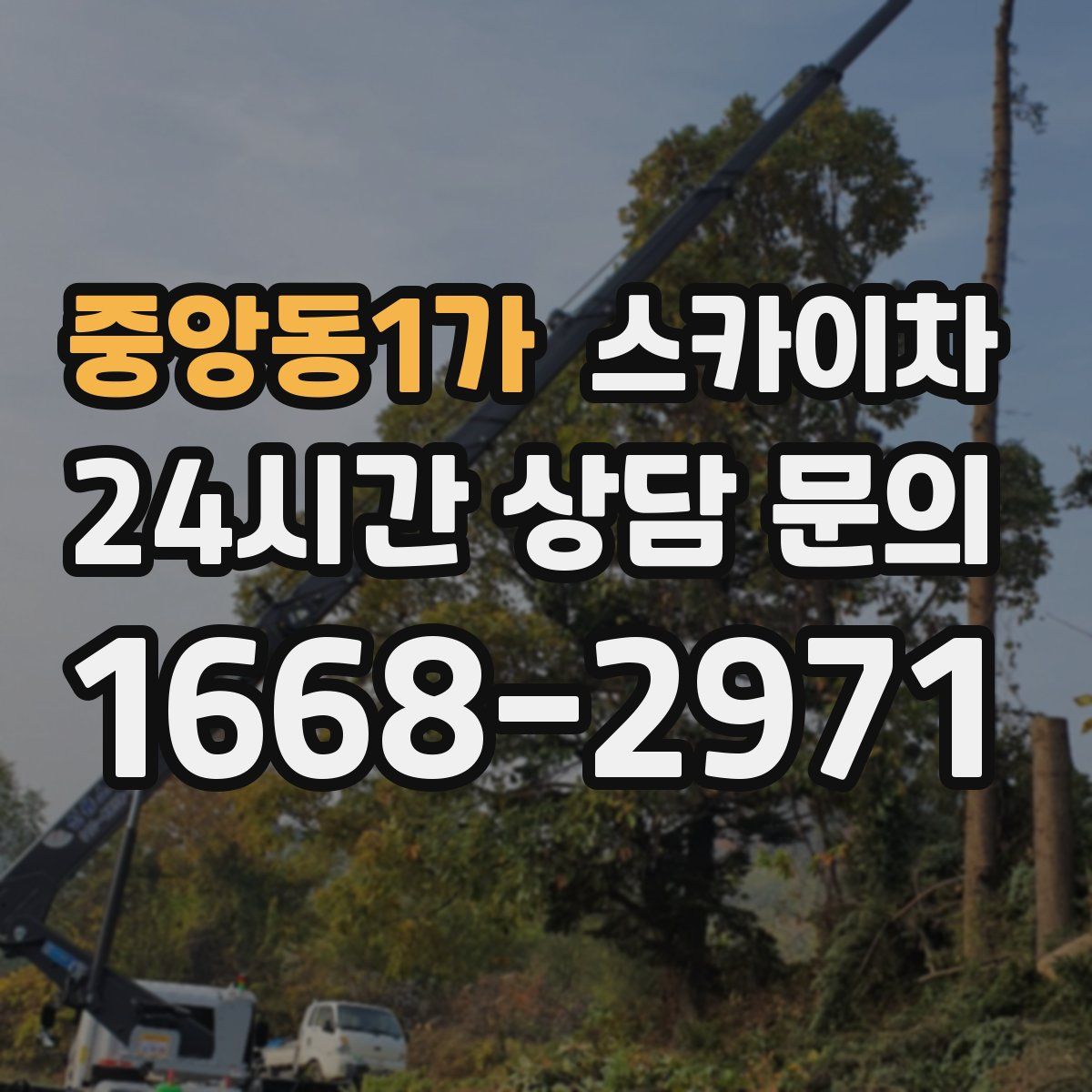 중앙동1가 스카이차