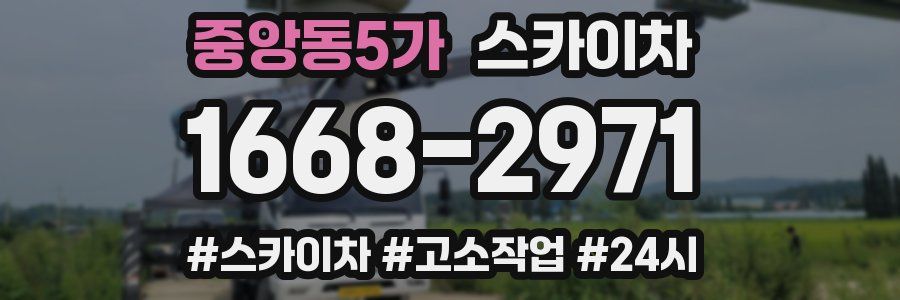 중앙동5가 스카이차