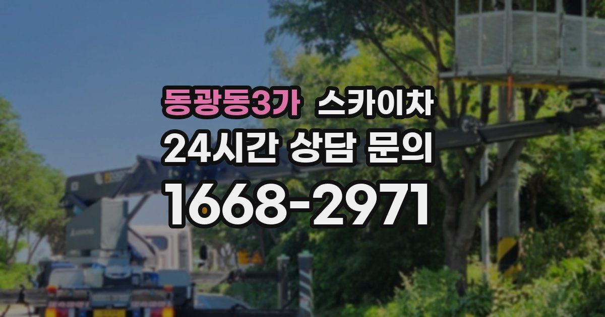 동광동3가 스카이차