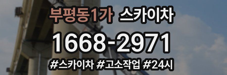 부평동1가 스카이차