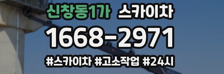 신창동1가 스카이차