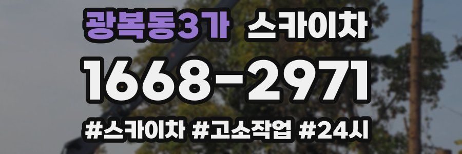 광복동3가 스카이차