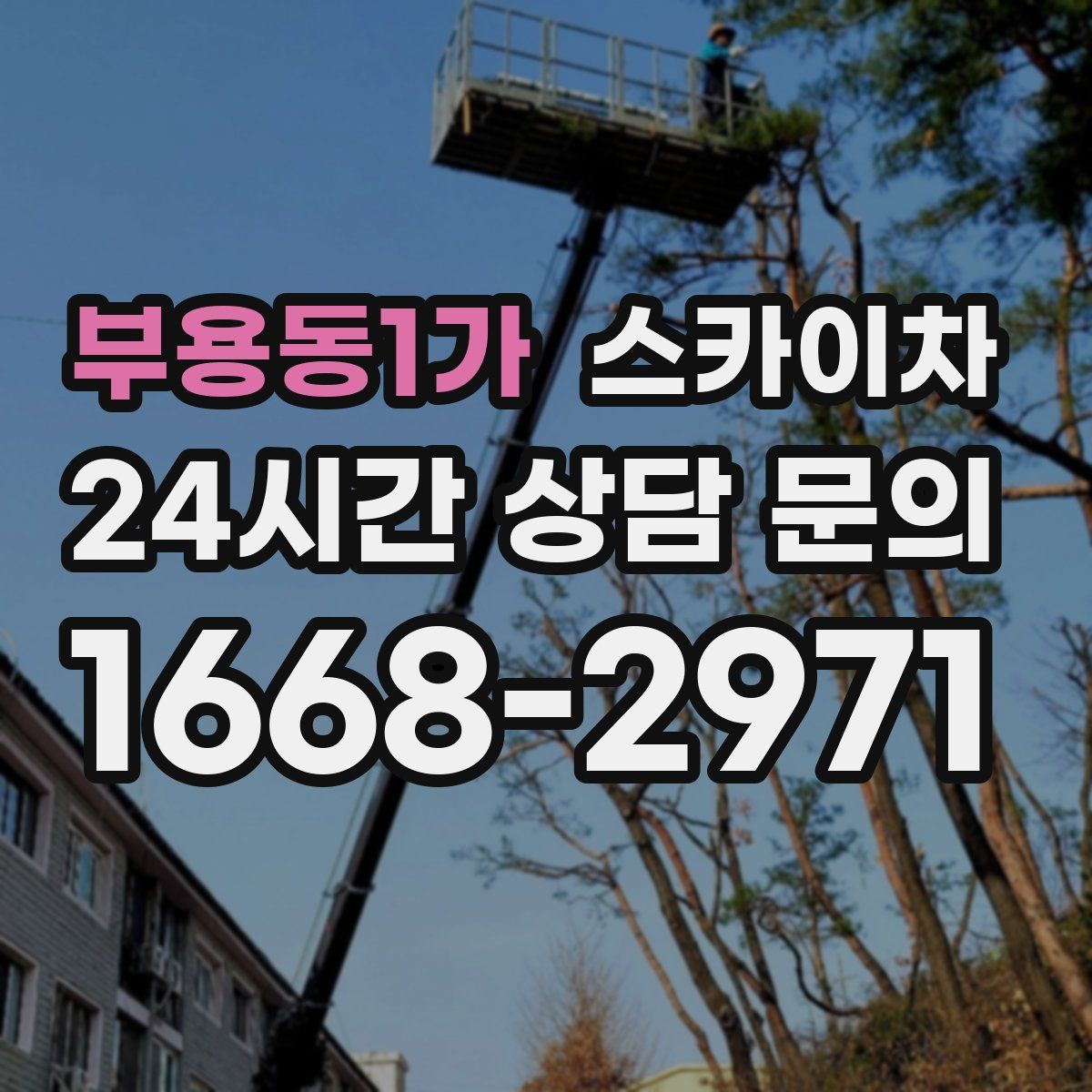 부용동1가 스카이차