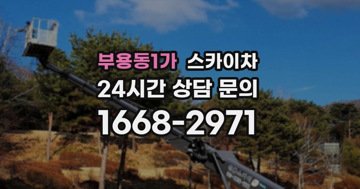 부용동1가 스카이차