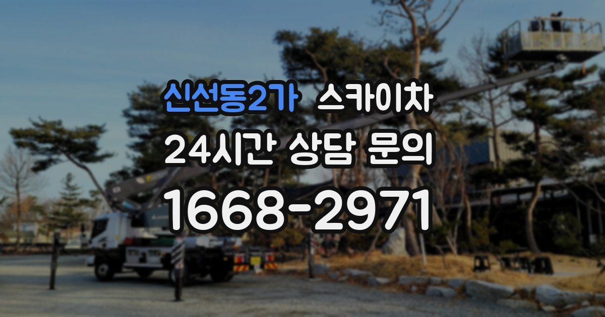 신선동2가 스카이차