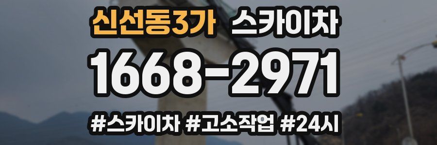신선동3가 스카이차