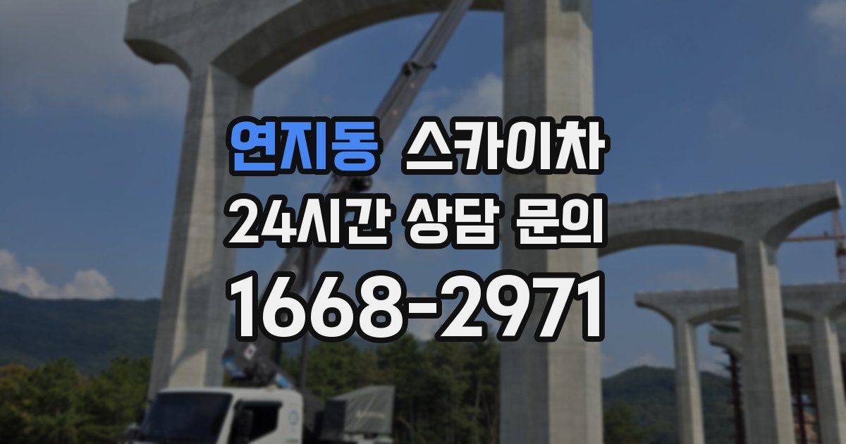 연지동 스카이차