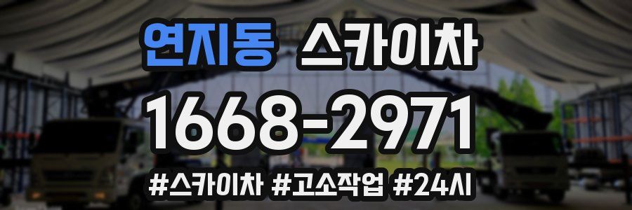 연지동 스카이차