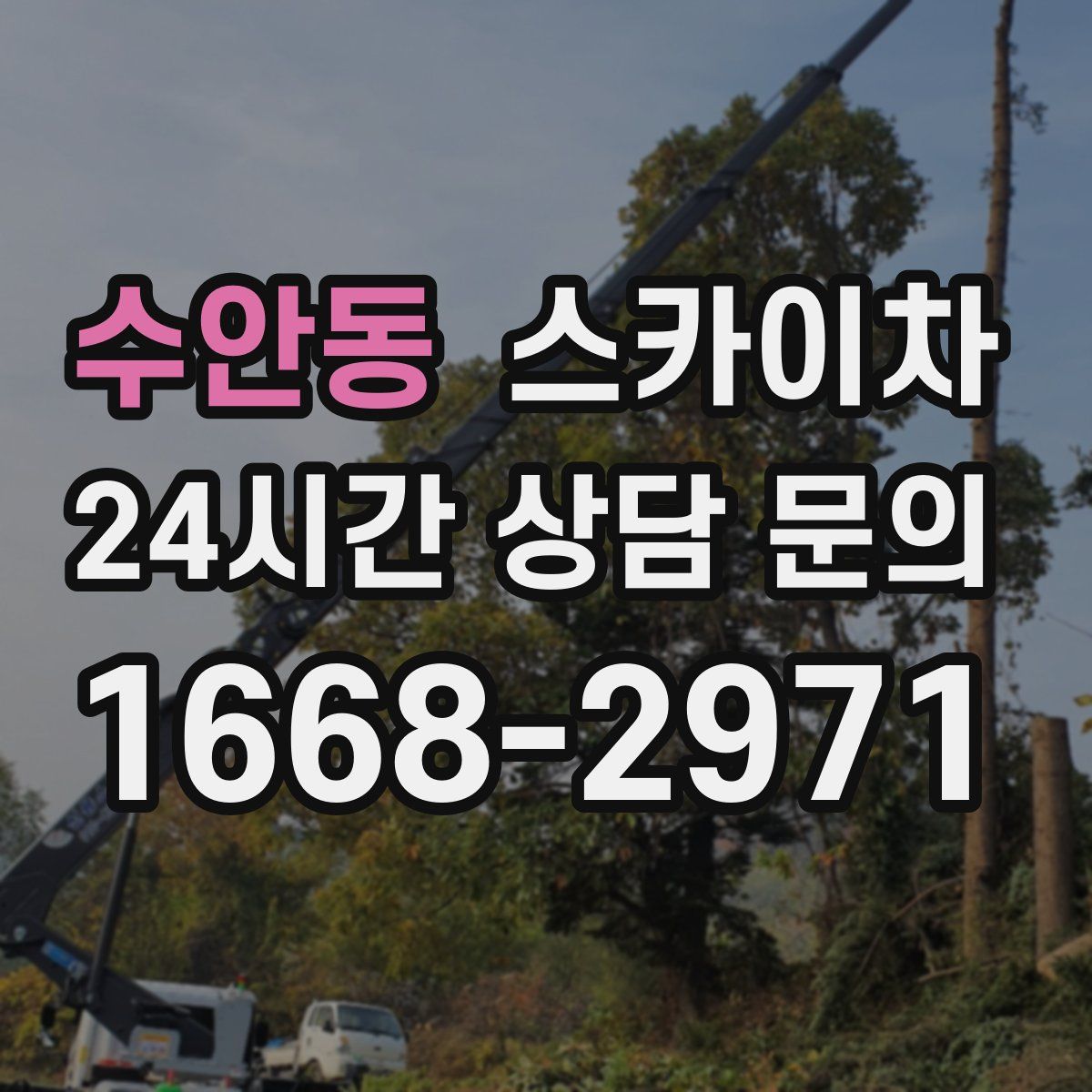 수안동 스카이차