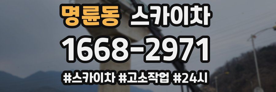 명륜동 스카이차