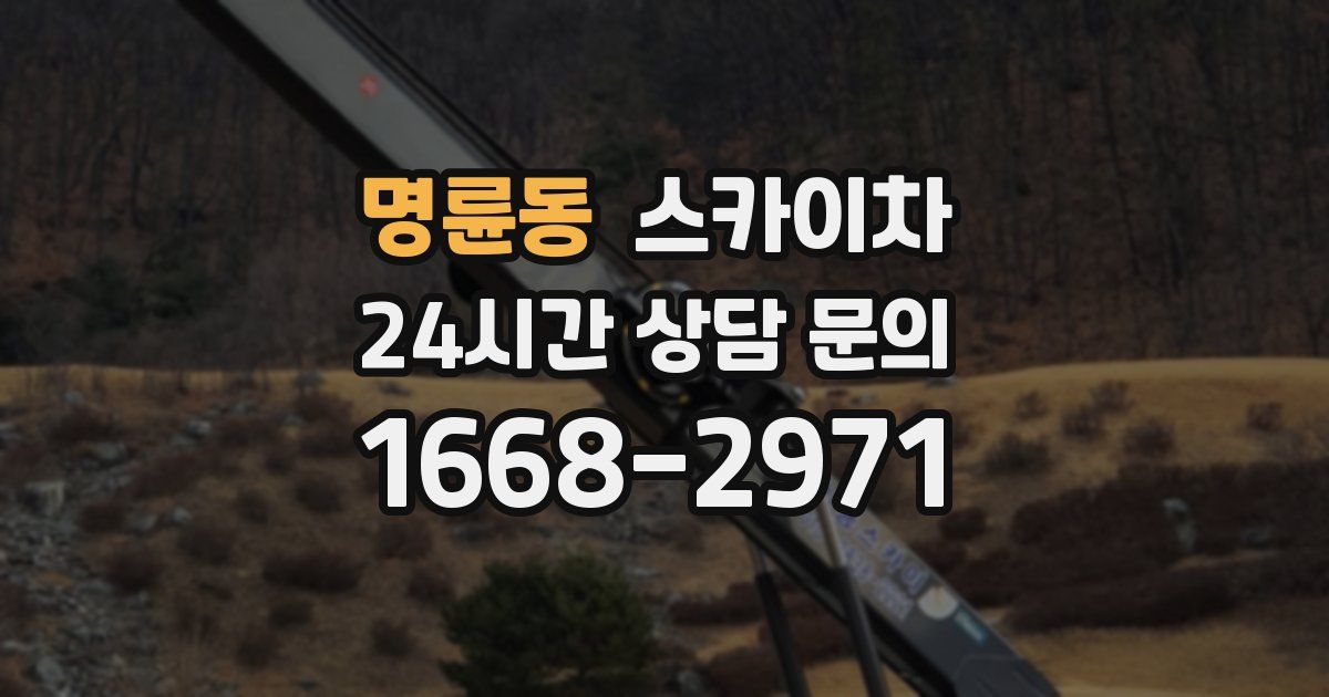 명륜동 스카이차