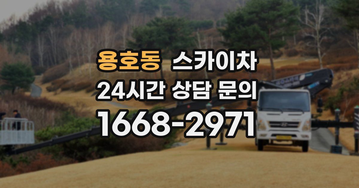 용호동 스카이차