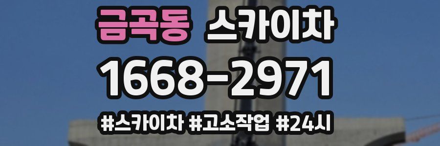 금곡동 스카이차