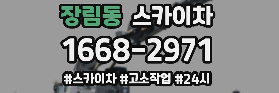 장림동 스카이차