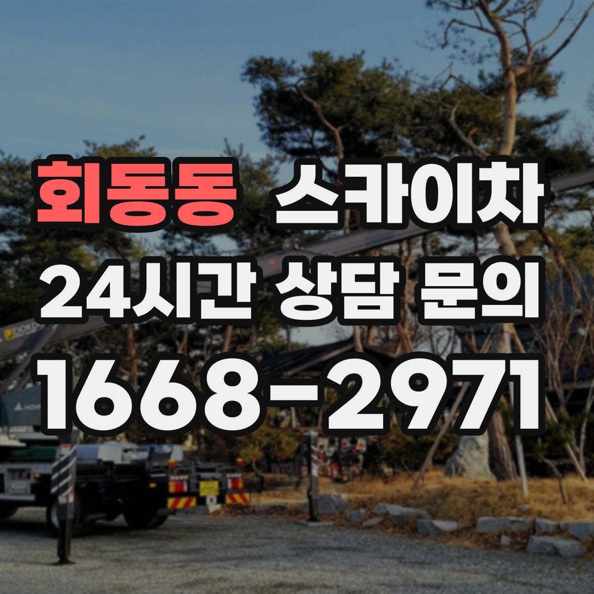 회동동 스카이차