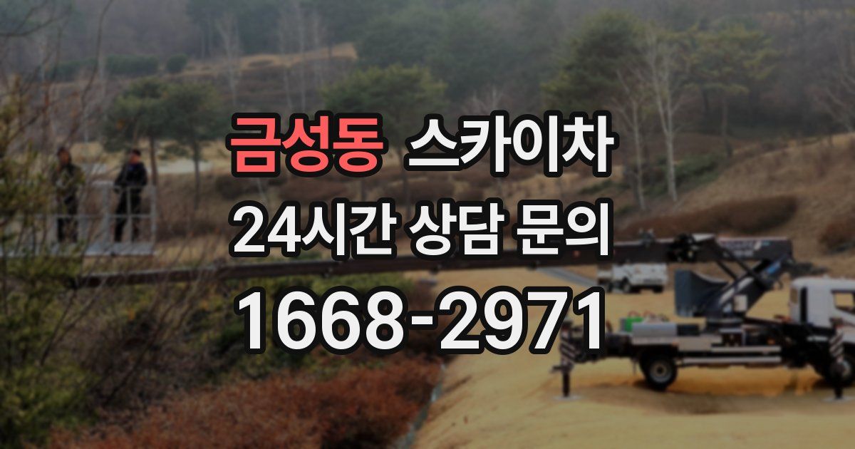 금성동 스카이차