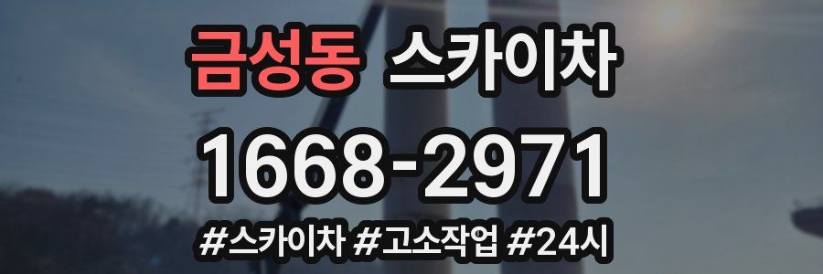 금성동 스카이차