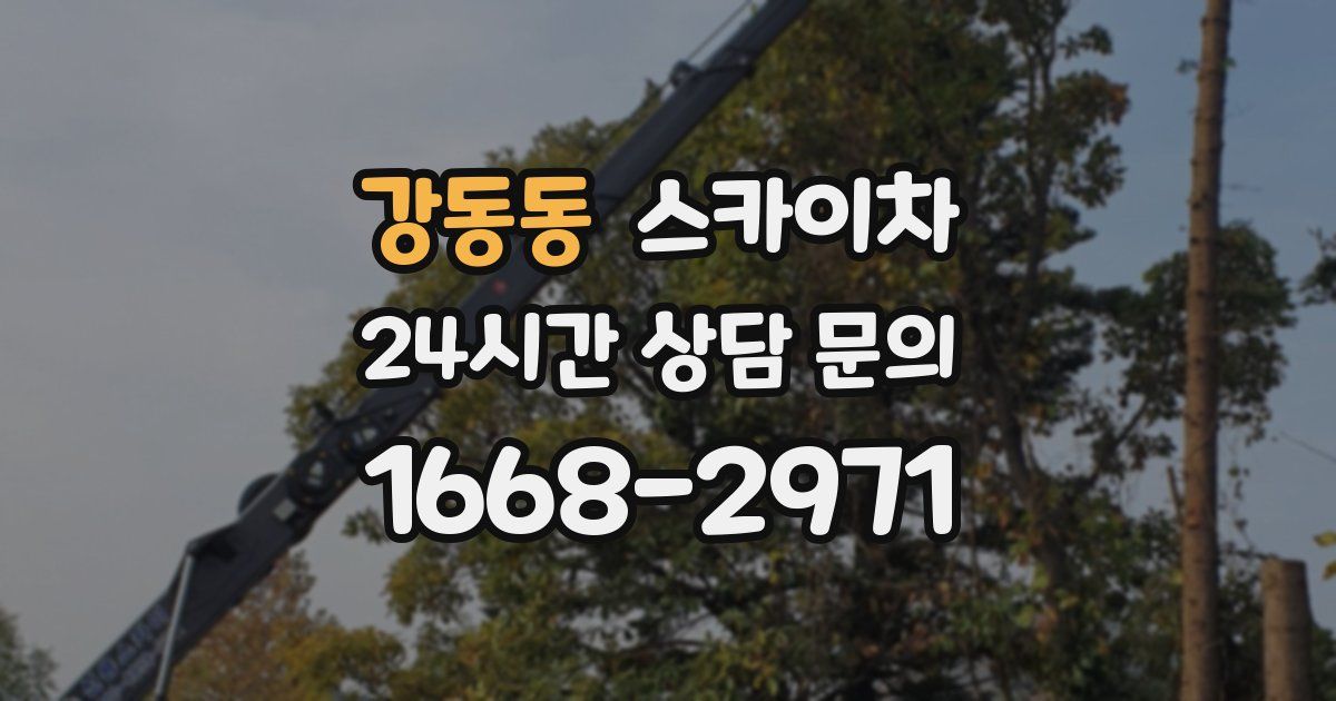 강동동 스카이차