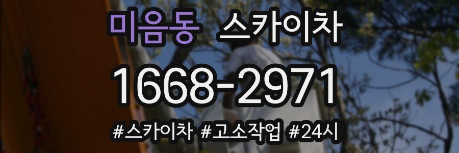 미음동 스카이차