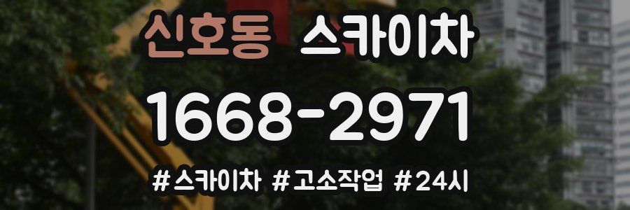 신호동 스카이차