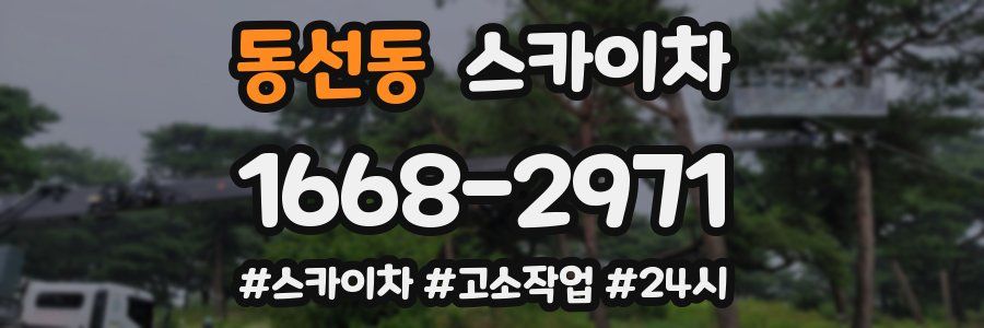 동선동 스카이차