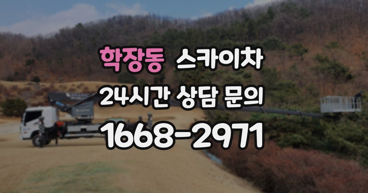 학장동 스카이차