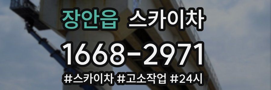 장안읍 스카이차