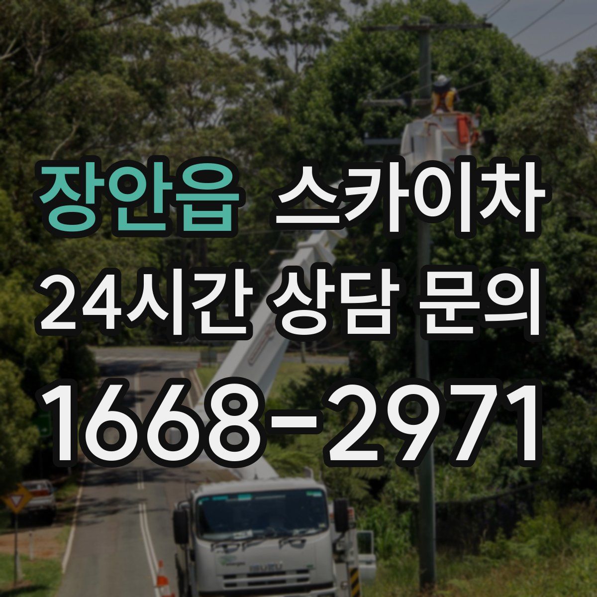 장안읍 스카이차