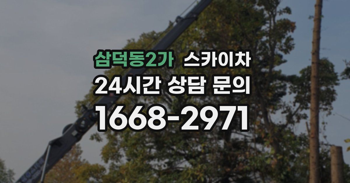 삼덕동2가 스카이차