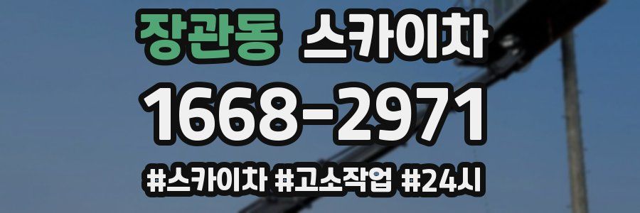 장관동 스카이차