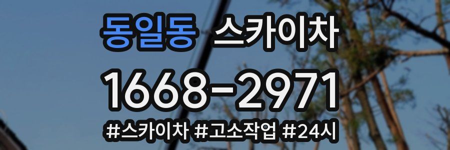 동일동 스카이차