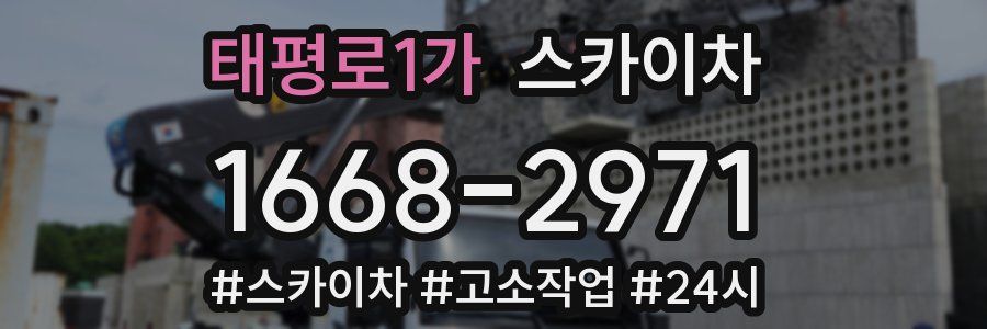 태평로1가 스카이차