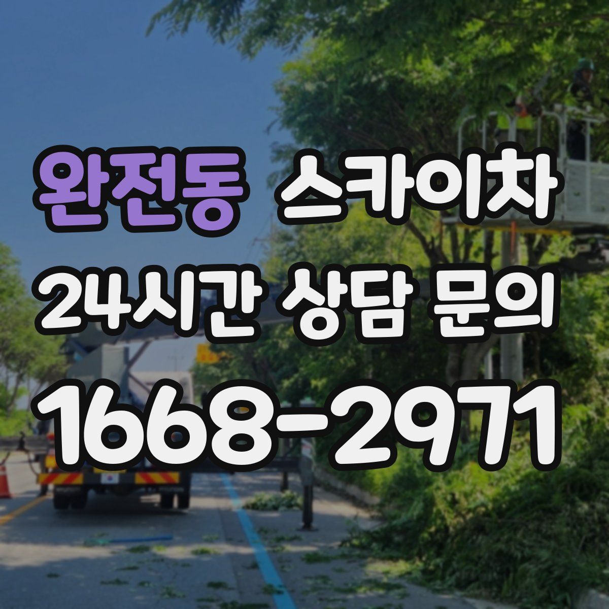 완전동 스카이차