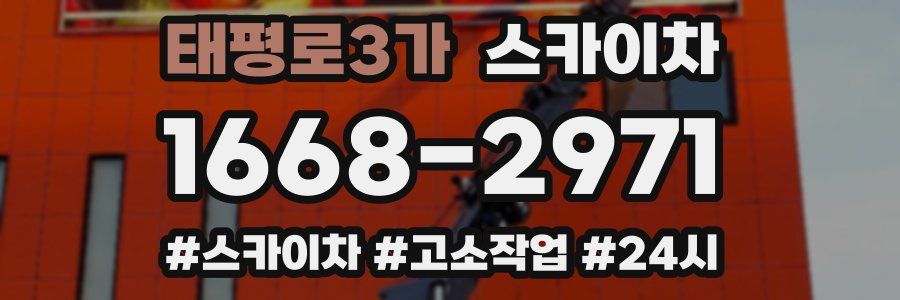 태평로3가 스카이차