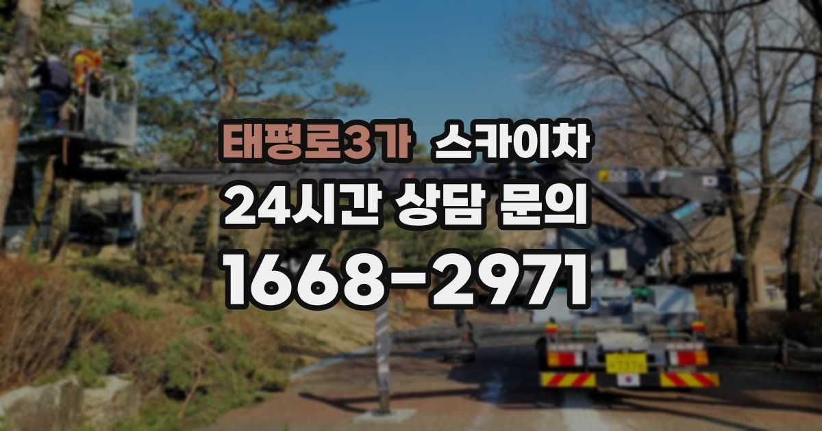 태평로3가 스카이차