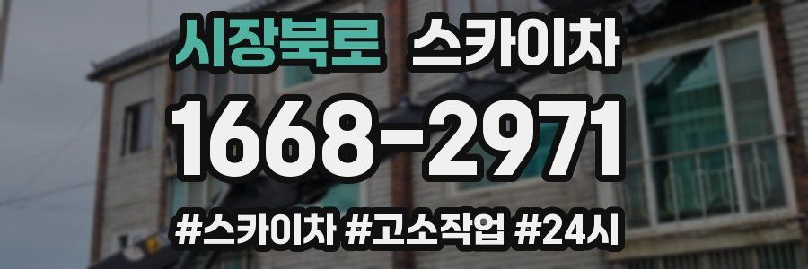 시장북로 스카이차