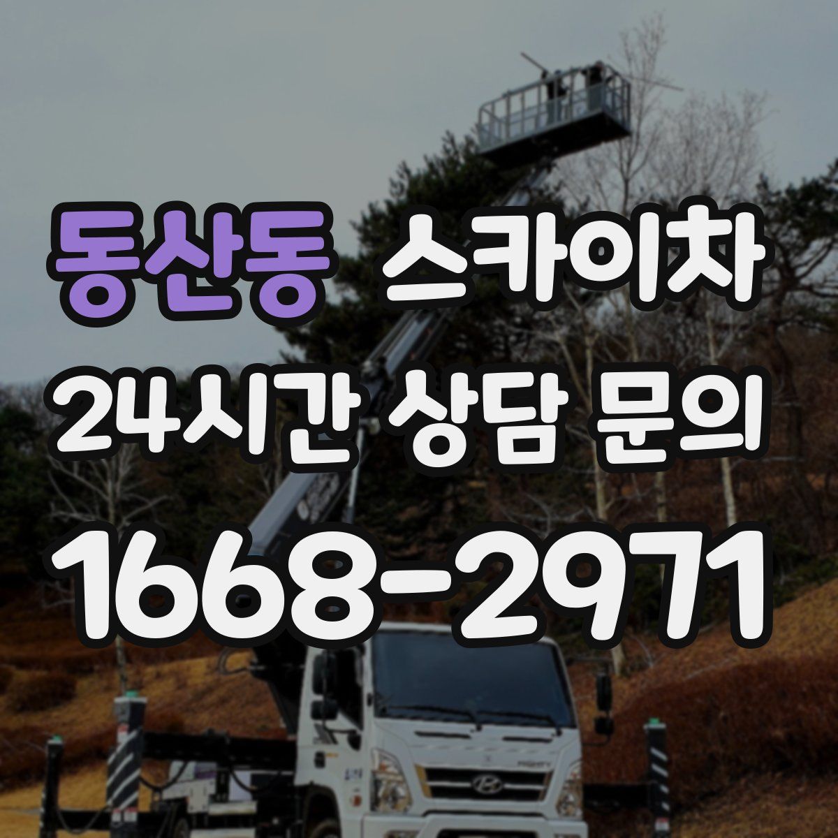 동산동 스카이차